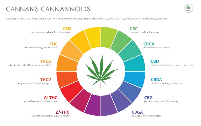 cannabis-cannabinoids