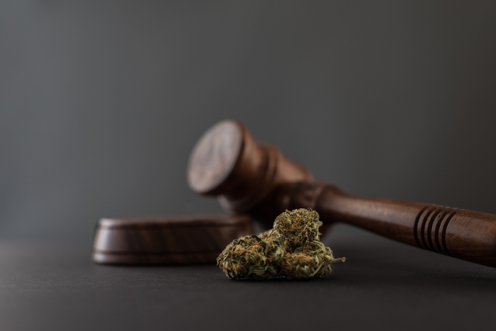 cannabis-law