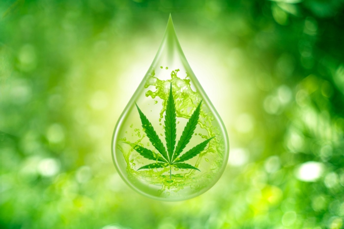 cannabis leaf drop