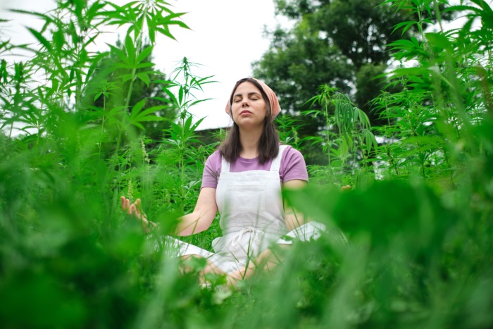 woman meditation cannabis field
